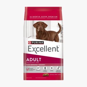 EXCELLENT ADULT CH&R MB/LB DOG 20K
